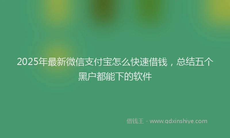 2025年最新微信支付宝怎么快速借钱，总结五个黑户都能下的软件