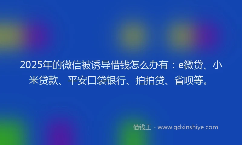 2025年的微信被诱导借钱怎么办有：e微贷、小米贷款、平安口袋银行、拍拍贷、省呗等。