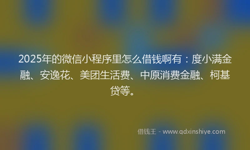 2025年的微信小程序里怎么借钱啊有：度小满金融、安逸花、美团生活费、中原消费金融、柯基贷等。