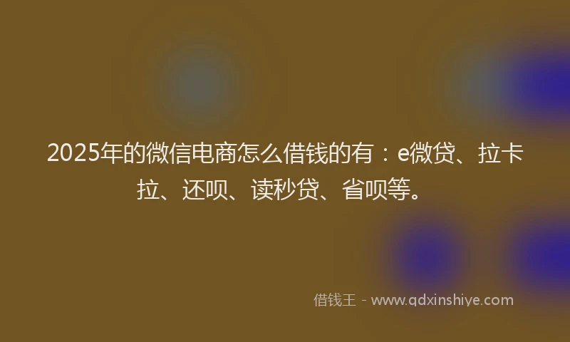 2025年的微信电商怎么借钱的有：e微贷、拉卡拉、还呗、读秒贷、省呗等。