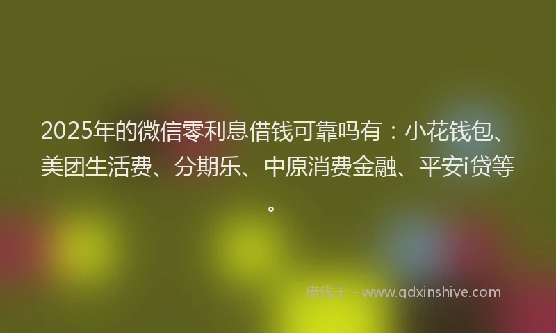 2025年的微信零利息借钱可靠吗有：小花钱包、美团生活费、分期乐、中原消费金融、平安i贷等。