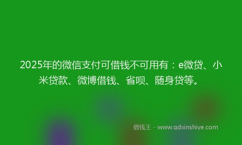 2025年的微信支付可借钱不可用有：e微贷、小米贷款、微博借钱、省呗、随身贷等。