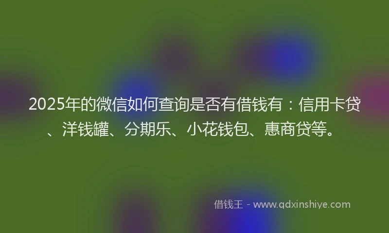 2025年的微信如何查询是否有借钱有：信用卡贷、洋钱罐、分期乐、小花钱包、惠商贷等。