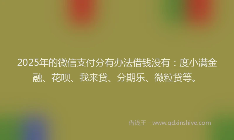 2025年的微信支付分有办法借钱没有：度小满金融、花呗、我来贷、分期乐、微粒贷等。
