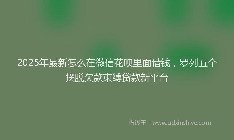 2025年最新怎么在微信花呗里面借钱，罗列五个摆脱欠款束缚贷款新平台