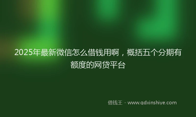 2025年最新微信怎么借钱用啊，概括五个分期有额度的网贷平台