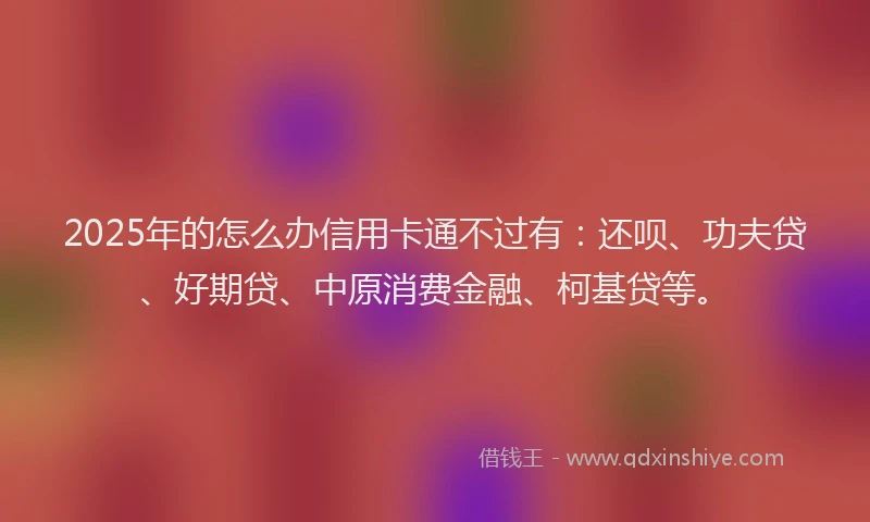 2025年的怎么办信用卡通不过有：还呗、功夫贷、好期贷、中原消费金融、柯基贷等。