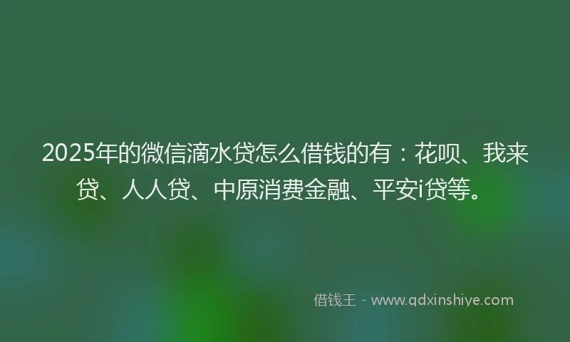 2025年的微信滴水贷怎么借钱的有：花呗、我来贷、人人贷、中原消费金融、平安i贷等。