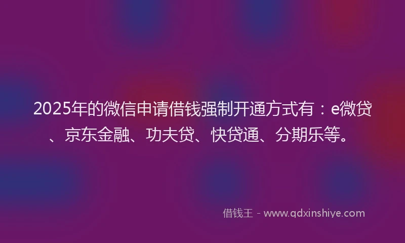 2025年的微信申请借钱强制开通方式有：e微贷、京东金融、功夫贷、快贷通、分期乐等。
