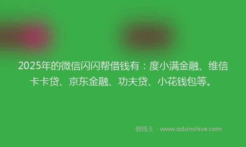 2025年的微信闪闪帮借钱有：度小满金融、维信卡卡贷、京东金融、功夫贷、小花钱包等。
