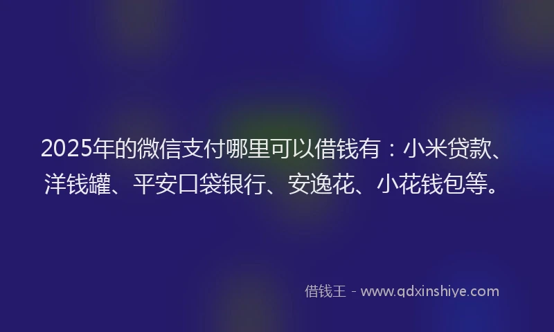 2025年的微信支付哪里可以借钱有：小米贷款、洋钱罐、平安口袋银行、安逸花、小花钱包等。