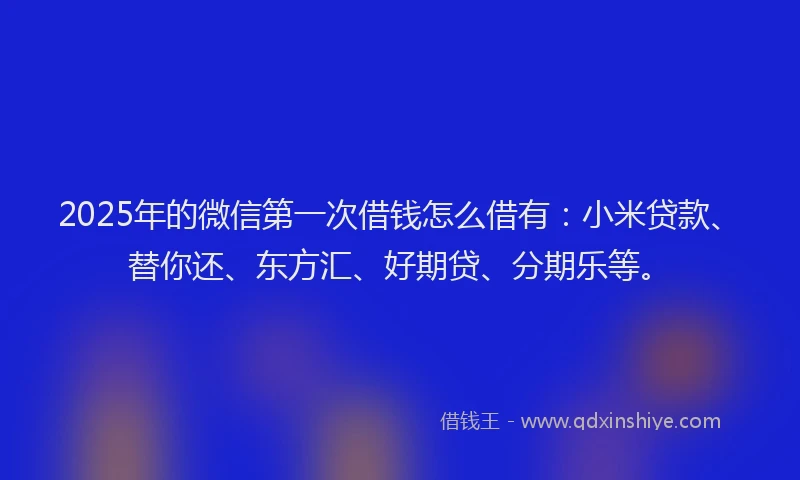 2025年的微信第一次借钱怎么借有：小米贷款、替你还、东方汇、好期贷、分期乐等。