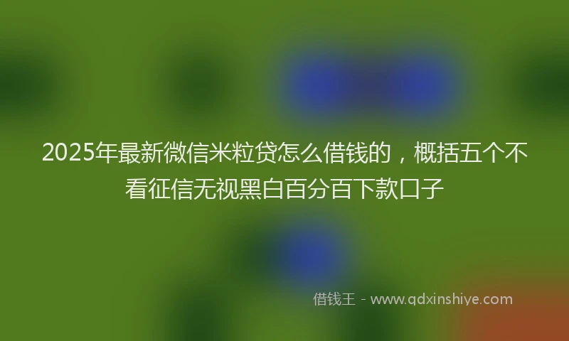 2025年最新微信米粒贷怎么借钱的，概括五个不看征信无视黑白百分百下款口子