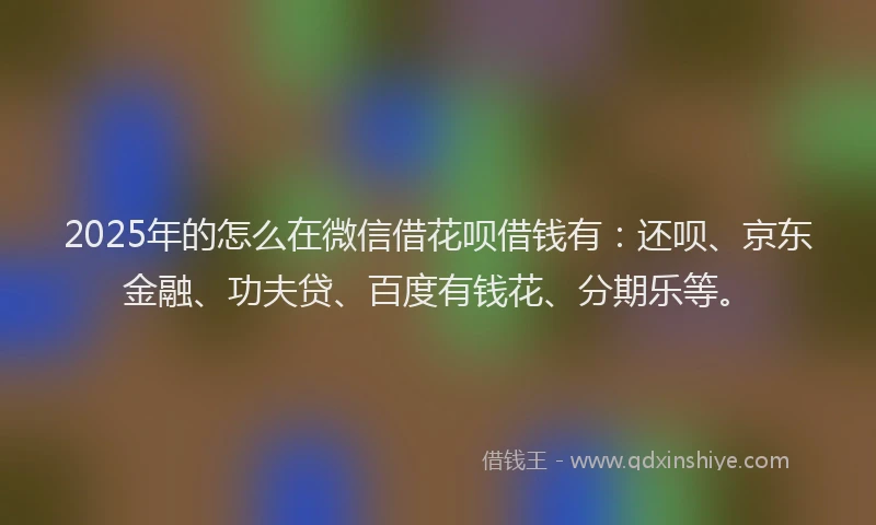 2025年的怎么在微信借花呗借钱有：还呗、京东金融、功夫贷、百度有钱花、分期乐等。