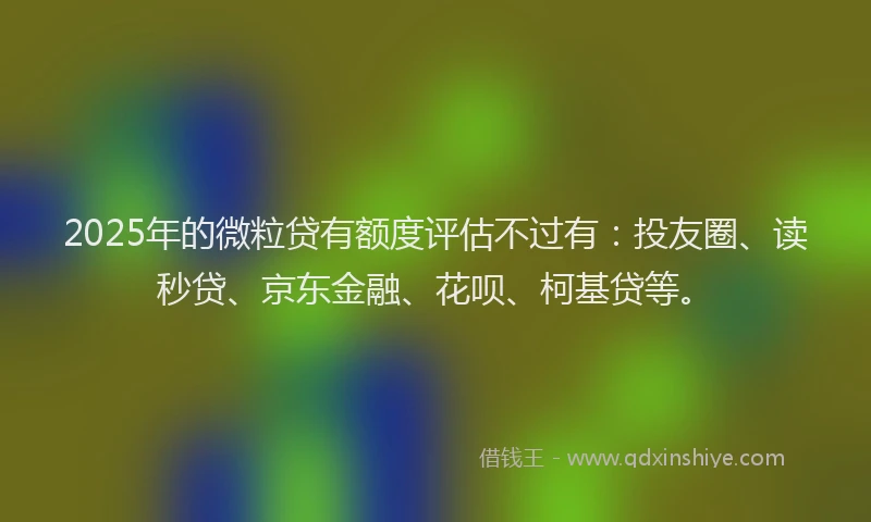 2025年的微粒贷有额度评估不过有：投友圈、读秒贷、京东金融、花呗、柯基贷等。