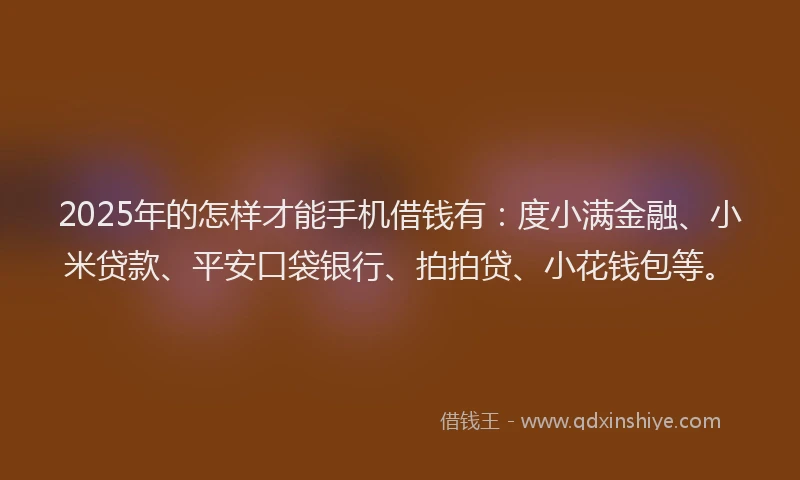 2025年的怎样才能手机借钱有：度小满金融、小米贷款、平安口袋银行、拍拍贷、小花钱包等。