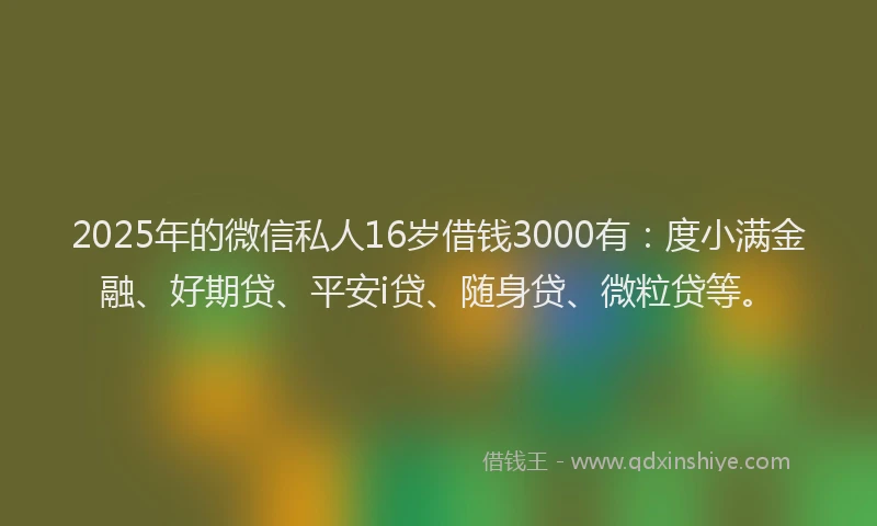 2025年的微信私人16岁借钱3000有：度小满金融、好期贷、平安i贷、随身贷、微粒贷等。