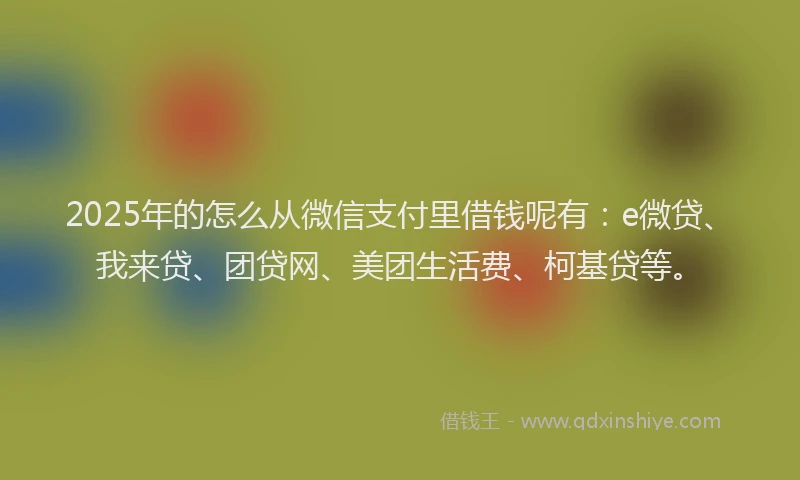 2025年的怎么从微信支付里借钱呢有：e微贷、我来贷、团贷网、美团生活费、柯基贷等。