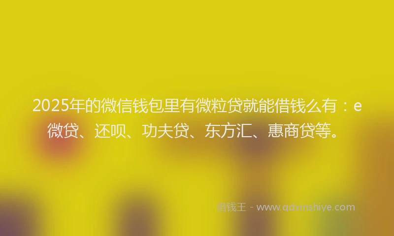 2025年的微信钱包里有微粒贷就能借钱么有：e微贷、还呗、功夫贷、东方汇、惠商贷等。