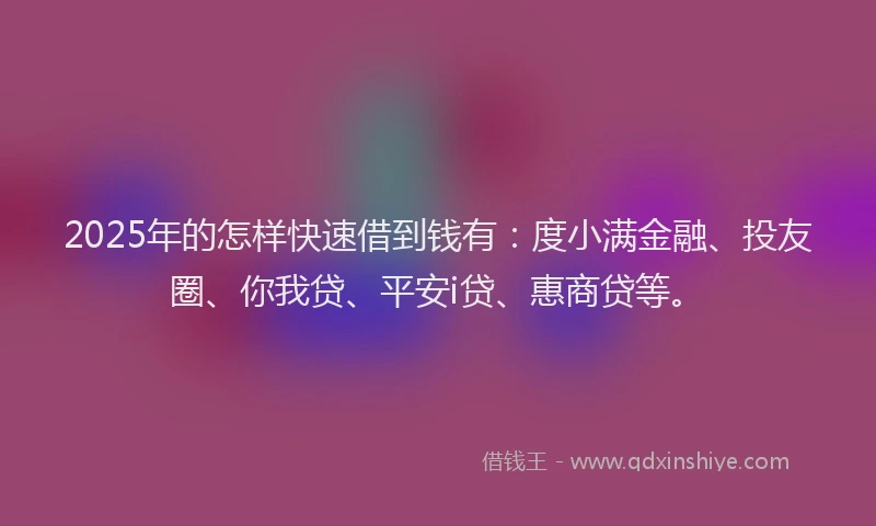 2025年的怎样快速借到钱有：度小满金融、投友圈、你我贷、平安i贷、惠商贷等。
