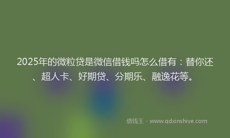 2025年的微粒贷是微信借钱吗怎么借有：替你还、超人卡、好期贷、分期乐、融逸花等。