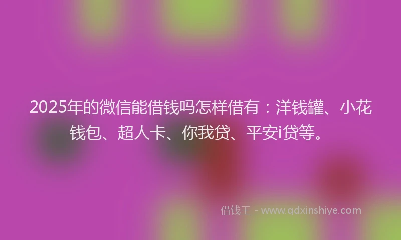 2025年的微信能借钱吗怎样借有：洋钱罐、小花钱包、超人卡、你我贷、平安i贷等。