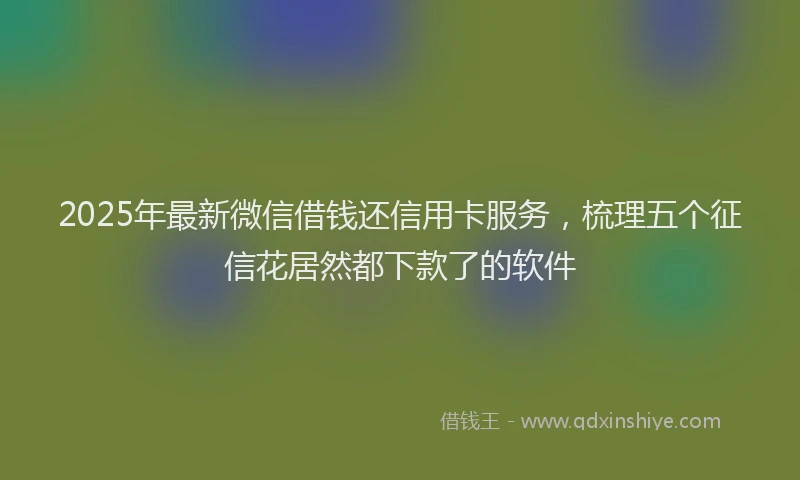 2025年最新微信借钱还信用卡服务，梳理五个征信花居然都下款了的软件