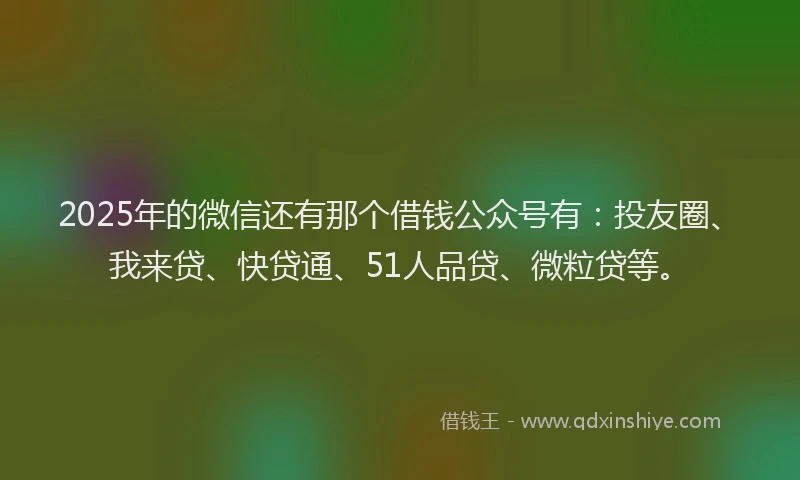 2025年的微信还有那个借钱公众号有：投友圈、我来贷、快贷通、51人品贷、微粒贷等。