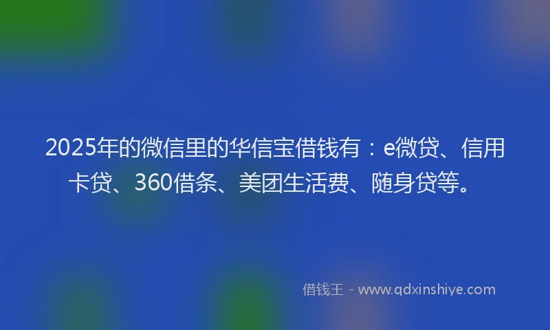 2025年的微信里的华信宝借钱有：e微贷、信用卡贷、360借条、美团生活费、随身贷等。