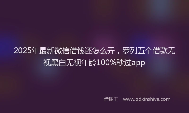 2025年最新微信借钱还怎么弄，罗列五个借款无视黑白无视年龄100%秒过app