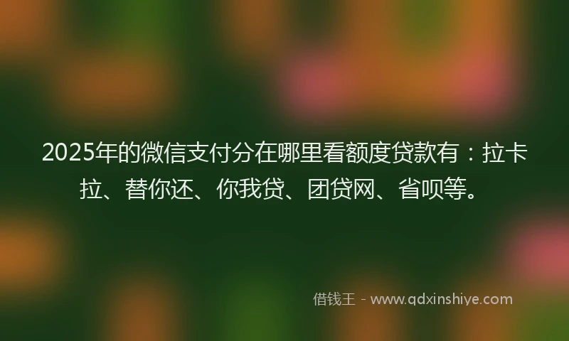 2025年的微信支付分在哪里看额度贷款有：拉卡拉、替你还、你我贷、团贷网、省呗等。