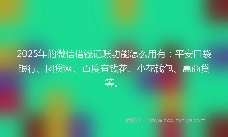 2025年的微信借钱记账功能怎么用有：平安口袋银行、团贷网、百度有钱花、小花钱包、惠商贷等。