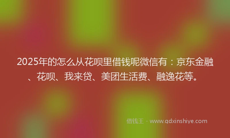 2025年的怎么从花呗里借钱呢微信有：京东金融、花呗、我来贷、美团生活费、融逸花等。