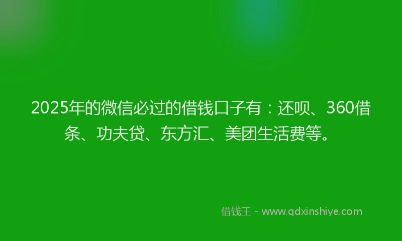 2025年的微信必过的借钱口子有：还呗、360借条、功夫贷、东方汇、美团生活费等。