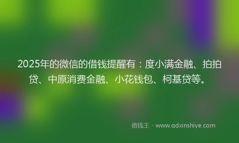 2025年的微信的借钱提醒有：度小满金融、拍拍贷、中原消费金融、小花钱包、柯基贷等。