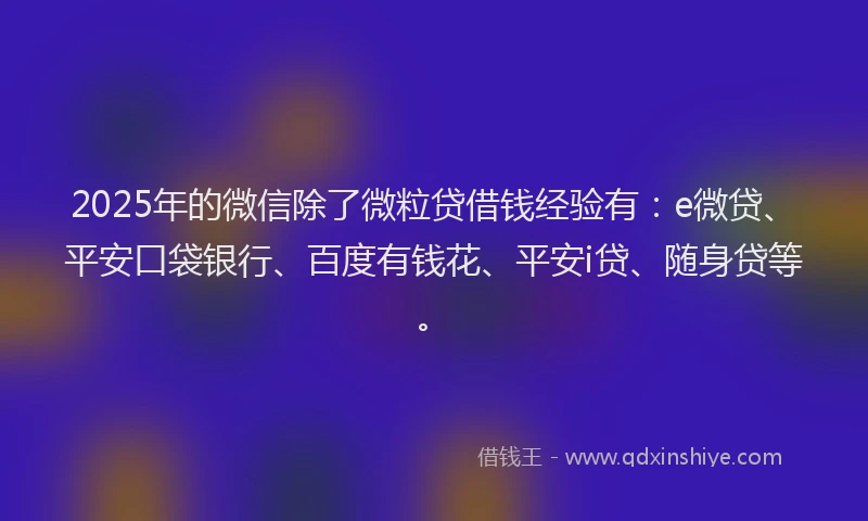 2025年的微信除了微粒贷借钱经验有：e微贷、平安口袋银行、百度有钱花、平安i贷、随身贷等。