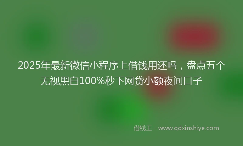2025年最新微信小程序上借钱用还吗，盘点五个无视黑白100%秒下网贷小额夜间口子
