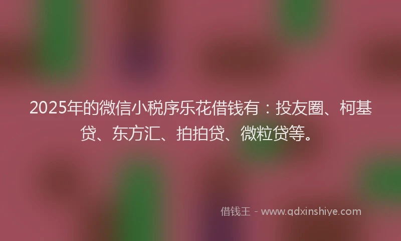 2025年的微信小税序乐花借钱有：投友圈、柯基贷、东方汇、拍拍贷、微粒贷等。