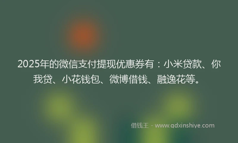 2025年的微信支付提现优惠券有：小米贷款、你我贷、小花钱包、微博借钱、融逸花等。