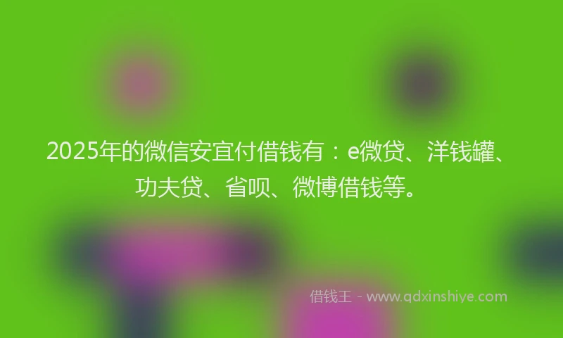 2025年的微信安宜付借钱有：e微贷、洋钱罐、功夫贷、省呗、微博借钱等。