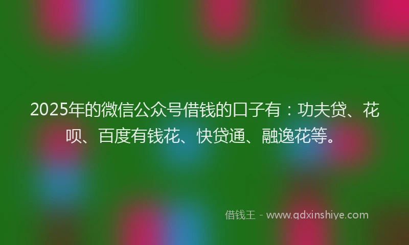 2025年的微信公众号借钱的口子有：功夫贷、花呗、百度有钱花、快贷通、融逸花等。