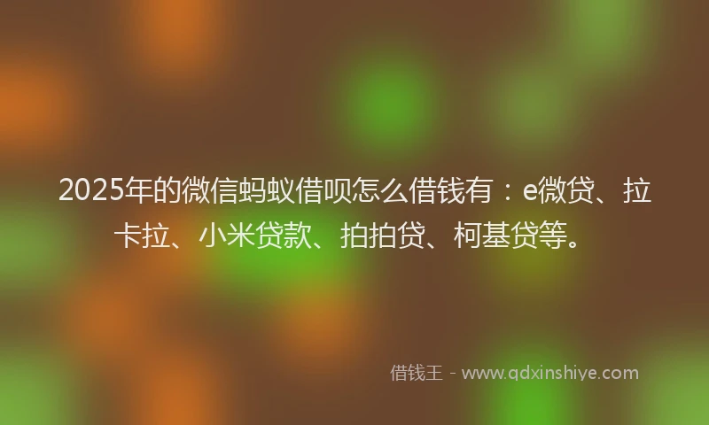 2025年的微信蚂蚁借呗怎么借钱有：e微贷、拉卡拉、小米贷款、拍拍贷、柯基贷等。