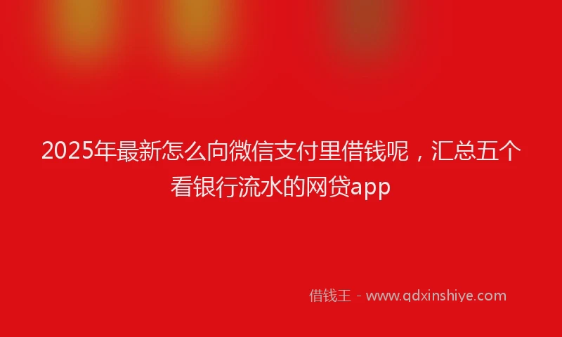 2025年最新怎么向微信支付里借钱呢，汇总五个看银行流水的网贷app