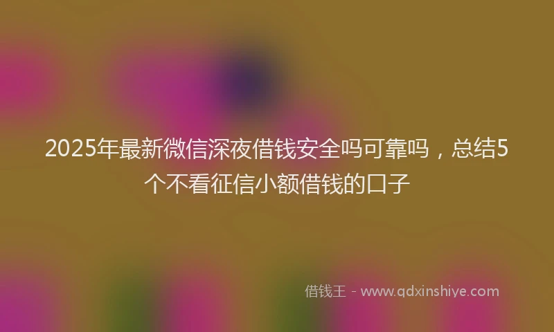 2025年最新微信深夜借钱安全吗可靠吗，总结5个不看征信小额借钱的口子