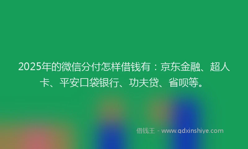 2025年的微信分付怎样借钱有：京东金融、超人卡、平安口袋银行、功夫贷、省呗等。