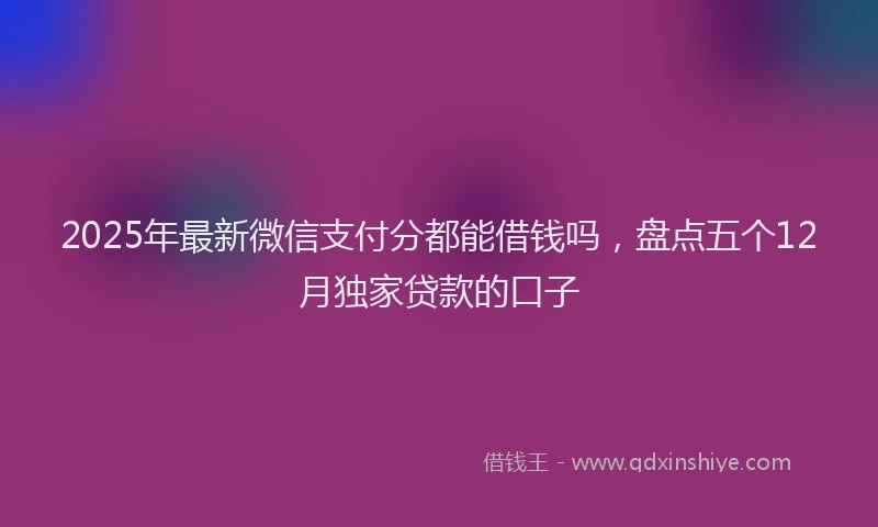 2025年最新微信支付分都能借钱吗，盘点五个12月独家贷款的口子