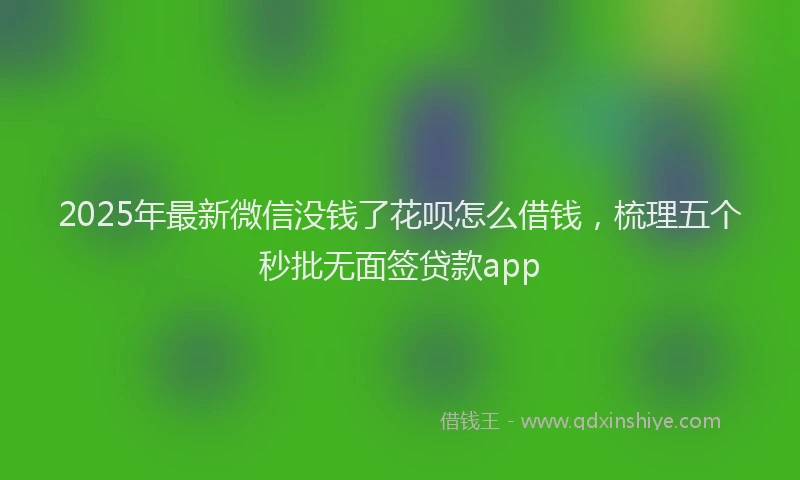 2025年最新微信没钱了花呗怎么借钱，梳理五个秒批无面签贷款app