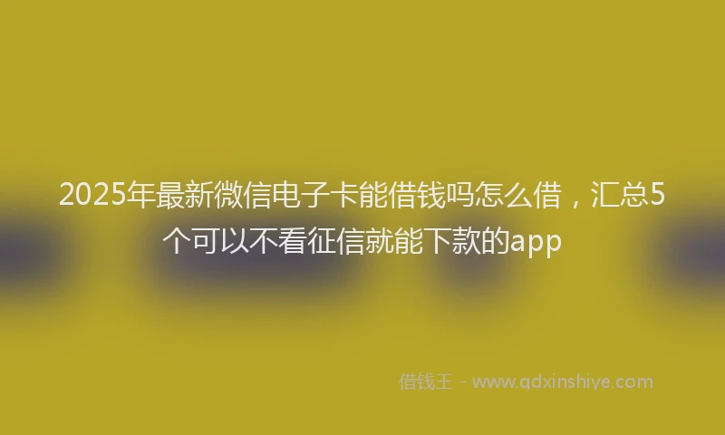 2025年最新微信电子卡能借钱吗怎么借，汇总5个可以不看征信就能下款的app