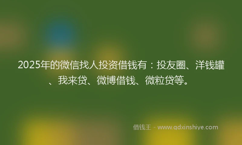 2025年的微信找人投资借钱有：投友圈、洋钱罐、我来贷、微博借钱、微粒贷等。