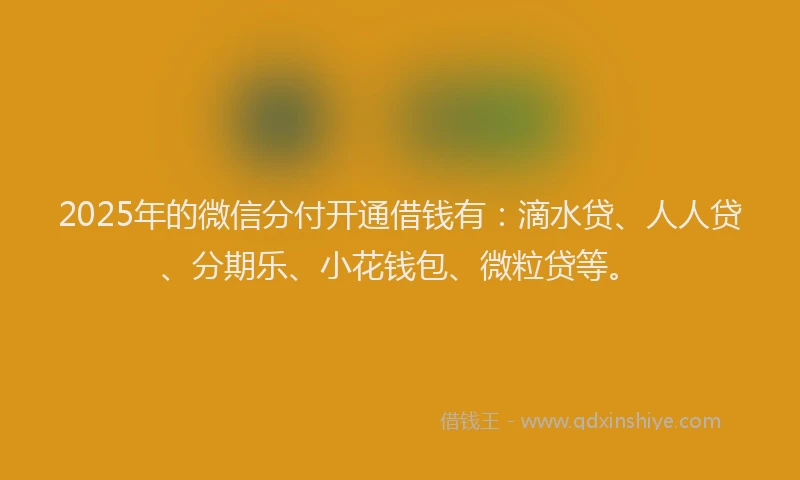 2025年的微信分付开通借钱有：滴水贷、人人贷、分期乐、小花钱包、微粒贷等。